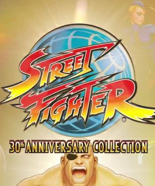 Street Fighter 30th